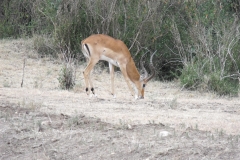 DSCF0345