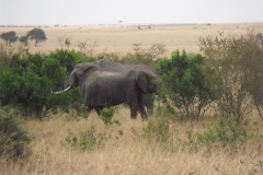 DSCF0430