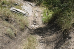 DSCF1191