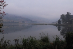 DSCF1590