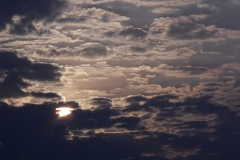 DSCF2198