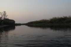 DSCF2715