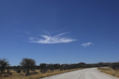 DSCF2820
