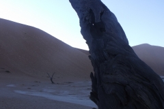 DSCF3418