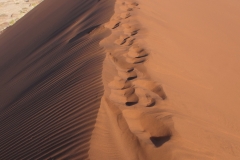 DSCF3448