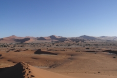 DSCF3453