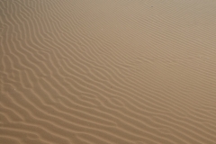 DSCF3482