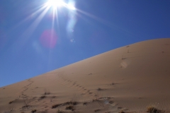 DSCF3498