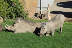 DSCF3624