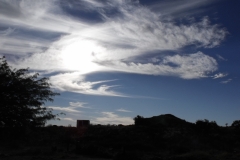 DSCF3785