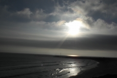 DSCF4420